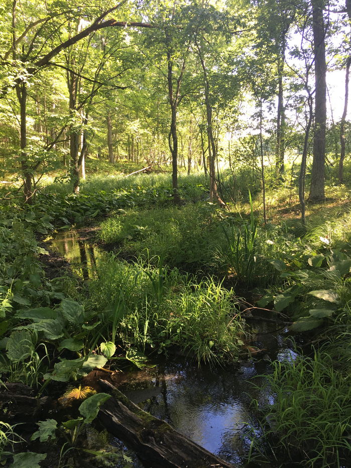 Kensington Metropark - 2017 Photo (newer photo)